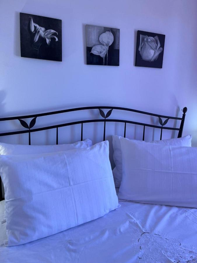 ילסה Apartman Gorana With Swimming Pool מראה חיצוני תמונה