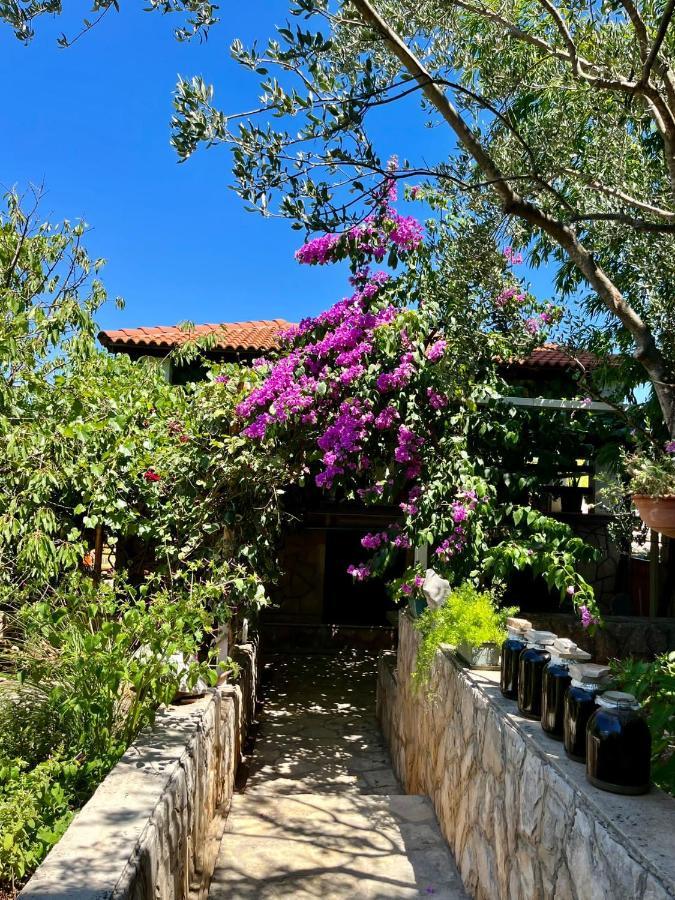 ילסה Apartman Gorana With Swimming Pool מראה חיצוני תמונה